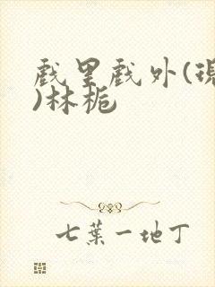 戏里戏外(现场)林栀
