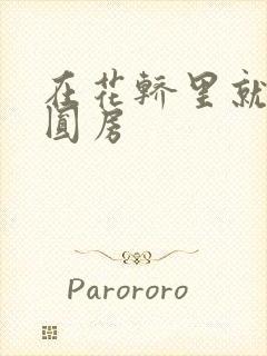 在花轿里就开始圆房