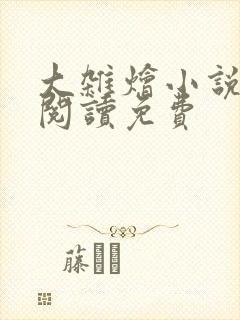 大杂烩小说全集阅读免费封面