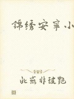 锦绣安宁小说