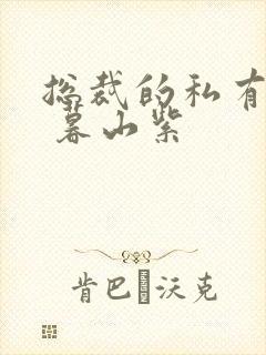 总裁的私有宝贝 暮山紫封面