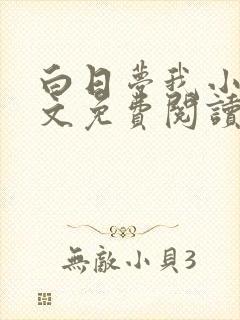 白日梦我小说全文免费阅读封面