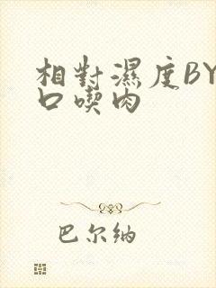 相对湿度BY大口吃肉