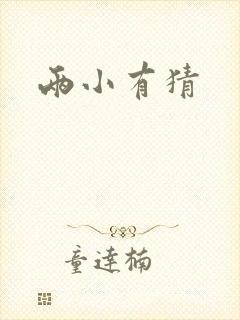 两小有猜
