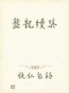 盘龙续集
