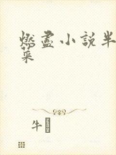 燃尽小说半截白菜