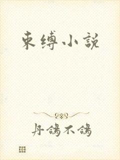 束缚小说封面