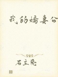我的娇妻公务员