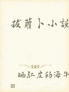 拔萝卜小说