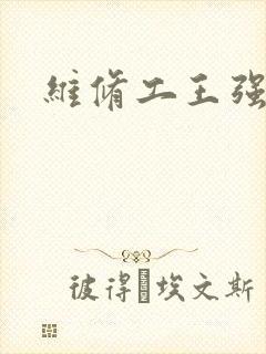 维修工王强张婷封面