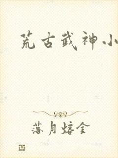 荒古武神小说