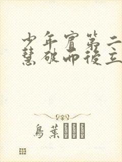 少年宾第二部珏慧破而后立