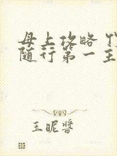 母上攻略 竹影随行第一主板