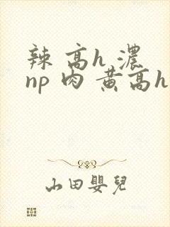 辣 高h 浓 np 肉 黄高h