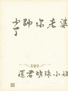 少帅你老婆又跑了封面
