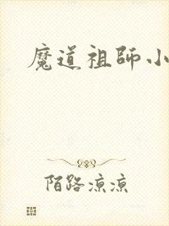 魔道祖师小说