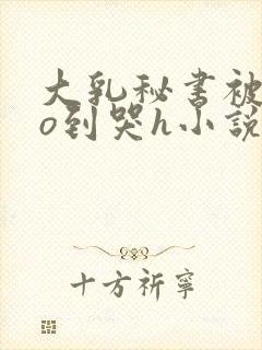 大乳秘书被cao到哭h小说