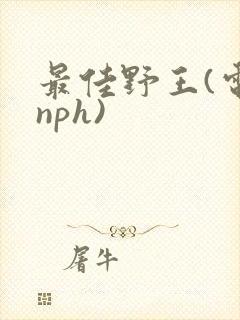 最佳野王(电竞nph)
