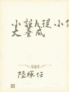 小说h从小做到大养成封面