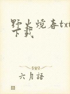 野火烧春txt下载