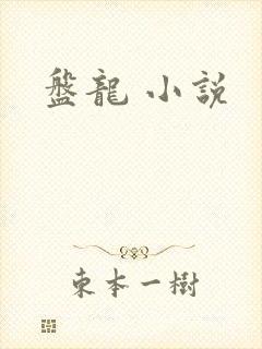 盘龙 小说