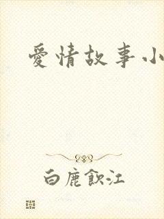 爱情故事小说