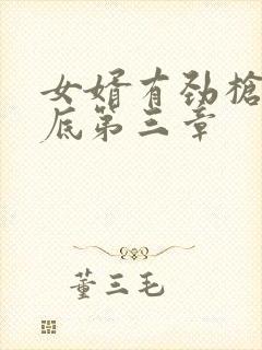 女婿有劲枪枪到底第三章