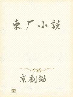 东厂小说