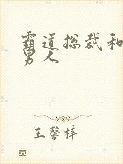 霸道总裁和他的男人封面