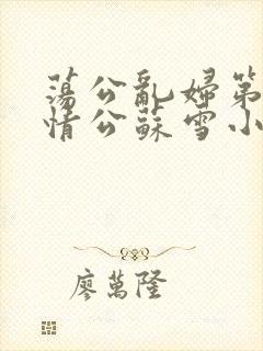 荡公乱妇第1章情公苏雪小说