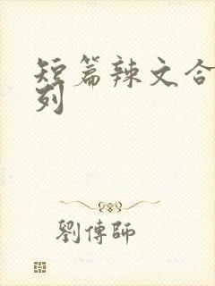 短篇辣文合集系列
