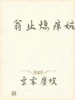 翁止熄痒婉燕封面