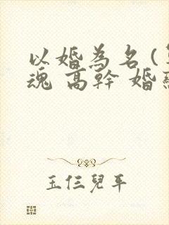 以婚为名 (军魂 高干 婚恋)