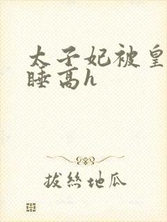 太子妃被皇上强睡高h