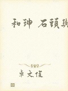 和珅 石头与水封面