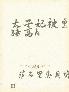 太子妃被皇上强睡高h