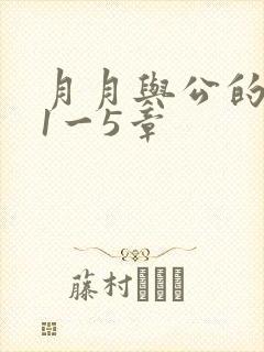 月月与公的激情1一5章