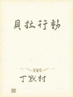 贝拉行动封面