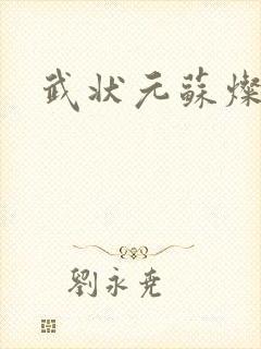 武状元苏灿封面
