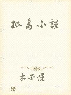 孤岛小说