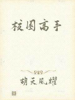 校园高手封面