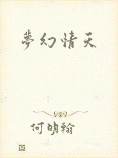 梦幻情天封面
