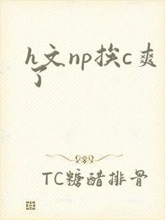 h文np挨c爽了封面