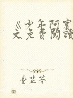 《少年阿宾》全文免费阅读