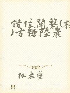 错位关系(校园)方糖陆岩封面
