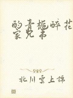 酌青栀醉花阴贺家兄弟封面