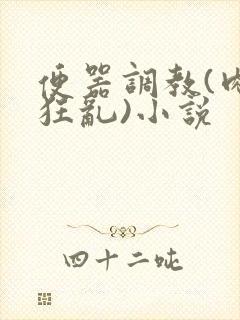 便器调教(肉体狂乱)小说封面