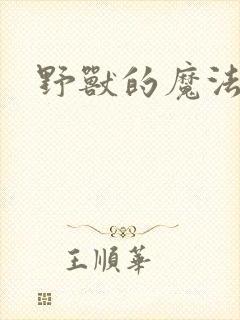 野兽的魔法师