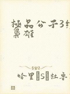 极品公子3续世枭雄