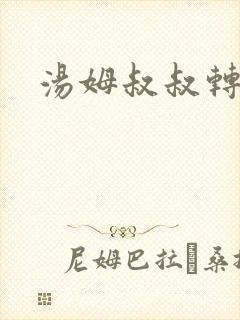 汤姆叔叔转接口